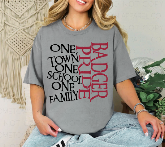 One Town One School One Family Badger Pride