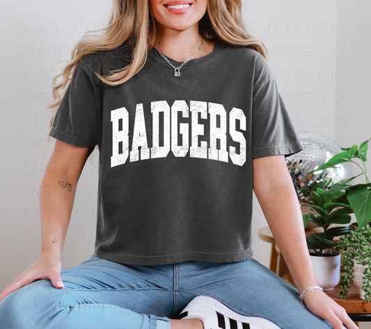 Classic Badgers Boxy Tee